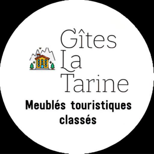 Beau Duplex 54M2, Classe 3 Etoiles Et Label "Gite De France" 5Min Centre, 15Min Gare Climatisation, Calme, 2 Chambres, Netflix Wifi, Tv 140Cms, Parking, Boite A Cles Arrivee Tardive - Gites La Tarine - Albertville Esterno foto